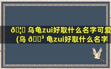 🦟 乌龟zui
好取什么名字可爱(乌 🌳 龟zui
好取什么名字可爱又好听)